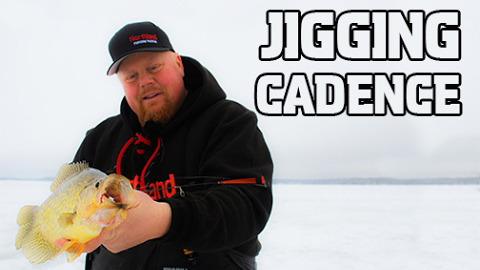 Bro's Panfish Jigging Cadence Tip - Brian Brosdahl