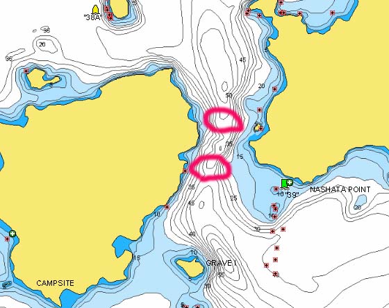 Area near Nashata Point on Lake Kabetogama circled for fishing.