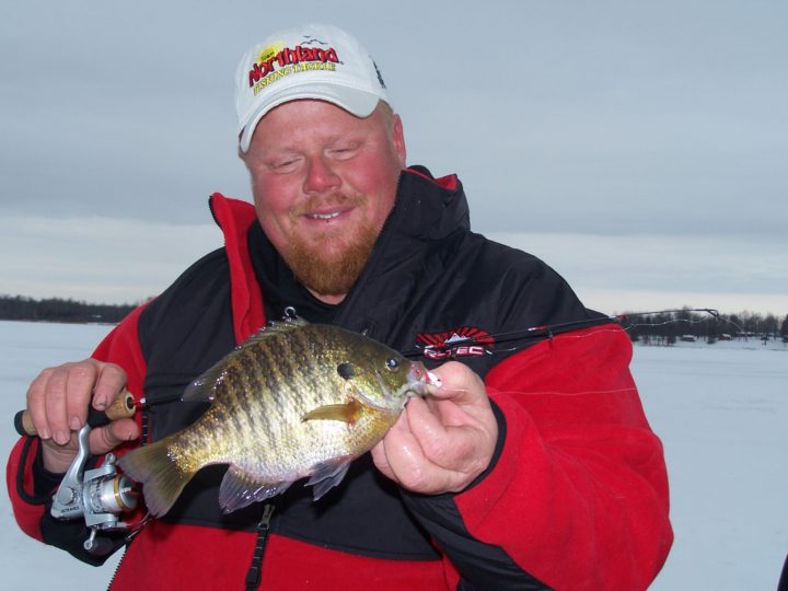 Early Ice Bluegill