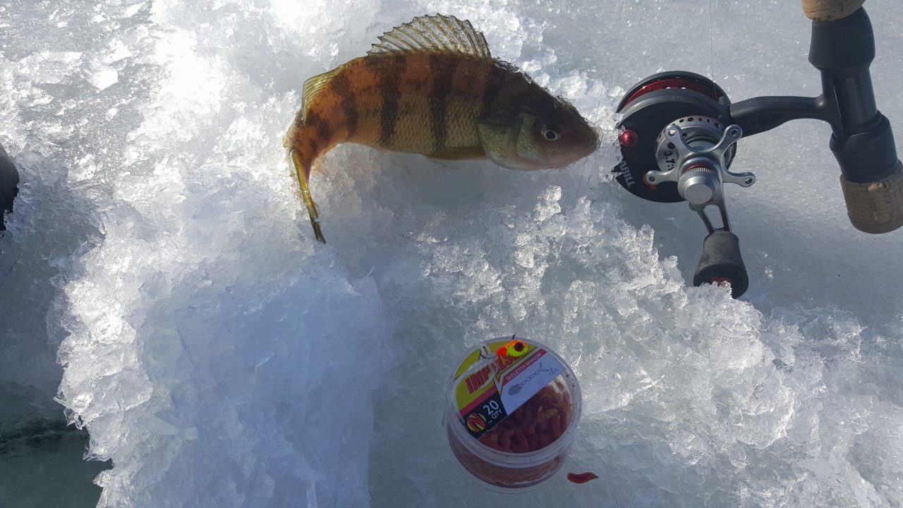 Panfish Ice Fishing