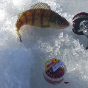 Panfish Ice Fishing