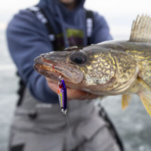 Tungsten Buck Shot How To & Tips