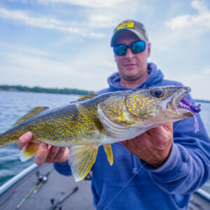 Walleye Eye Candy Minnow