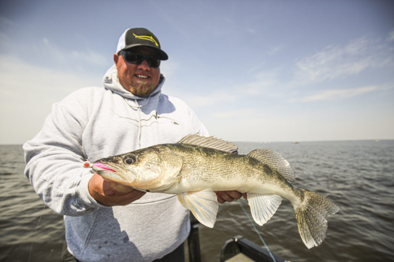 Fisherman holding up a walleye he caught while fishing a big lake.