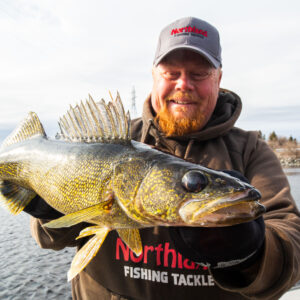Spring River Run Walleyes