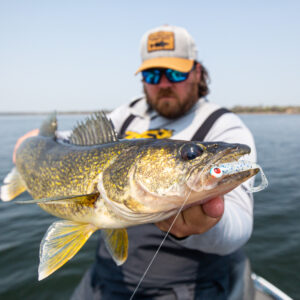 Walleye Soft Plastics Breakthrough