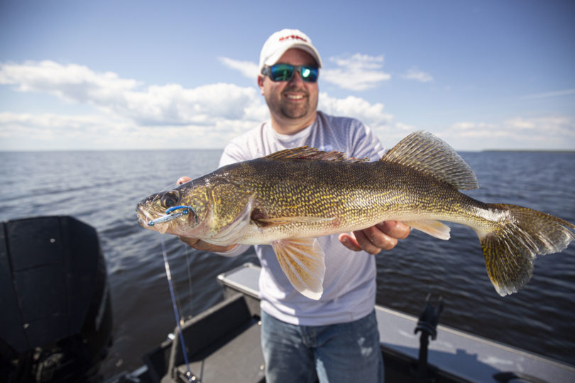 Fisherman holding up a walleye caught on a Northland Tackle live bait spinner rig