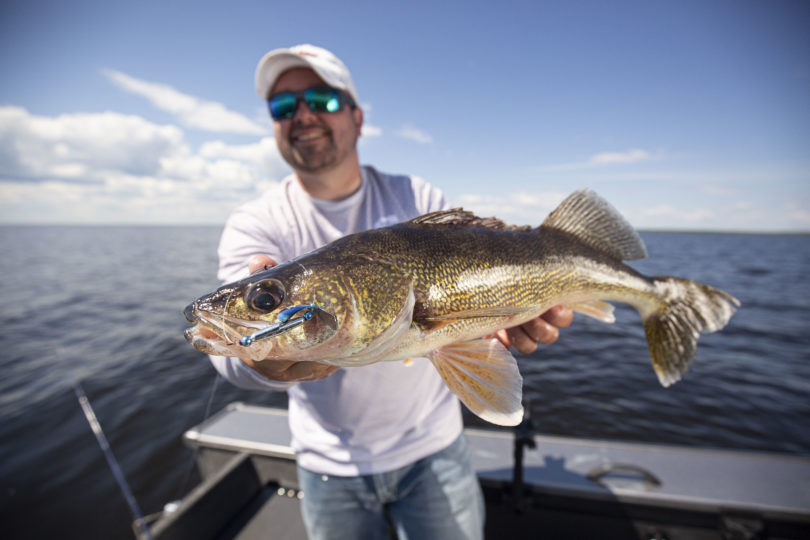 Joel Nelson with a walleye he caught fishing a Baitfish Spinner Rig.