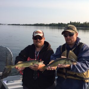 Manitoba Walleye