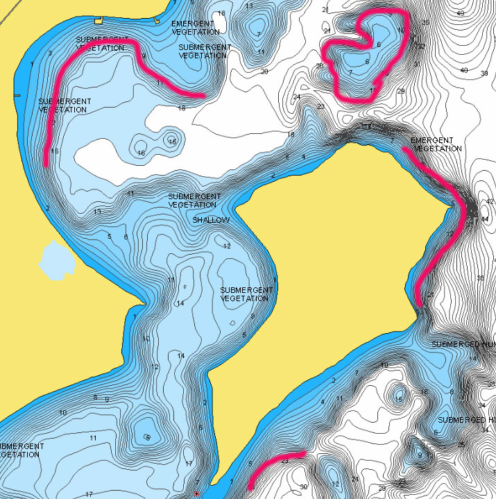 Lake Namekagon submergent vegetation marked