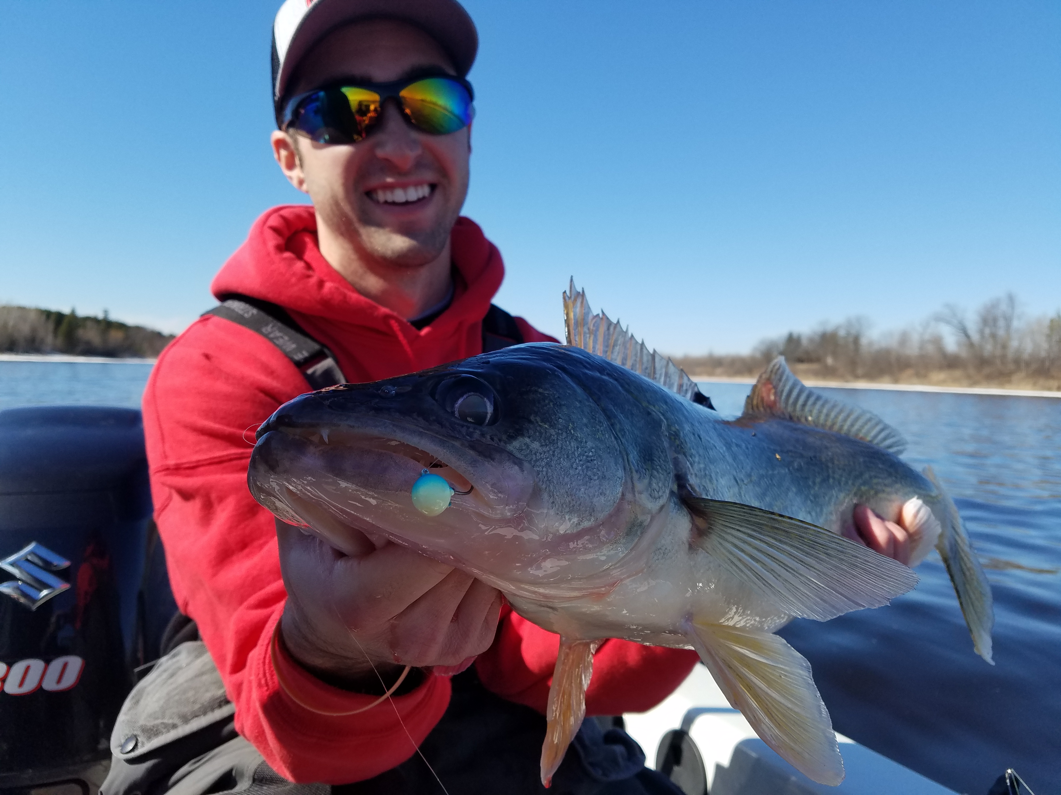 Northland Fishing Tackle Fire Ball Jig in the mouth of a walleye.