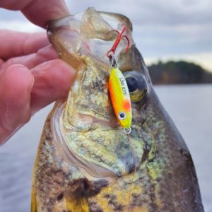 Buck-Shot® Rattle Spoon