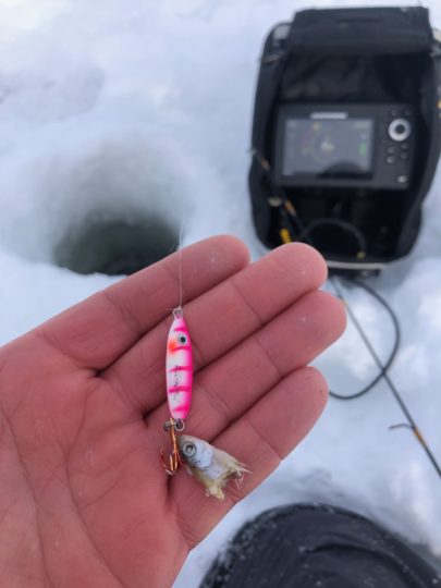 Gussy fishing with a Buck-Shot Spoon