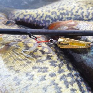 Glo-Shot™ Spoon Crappies