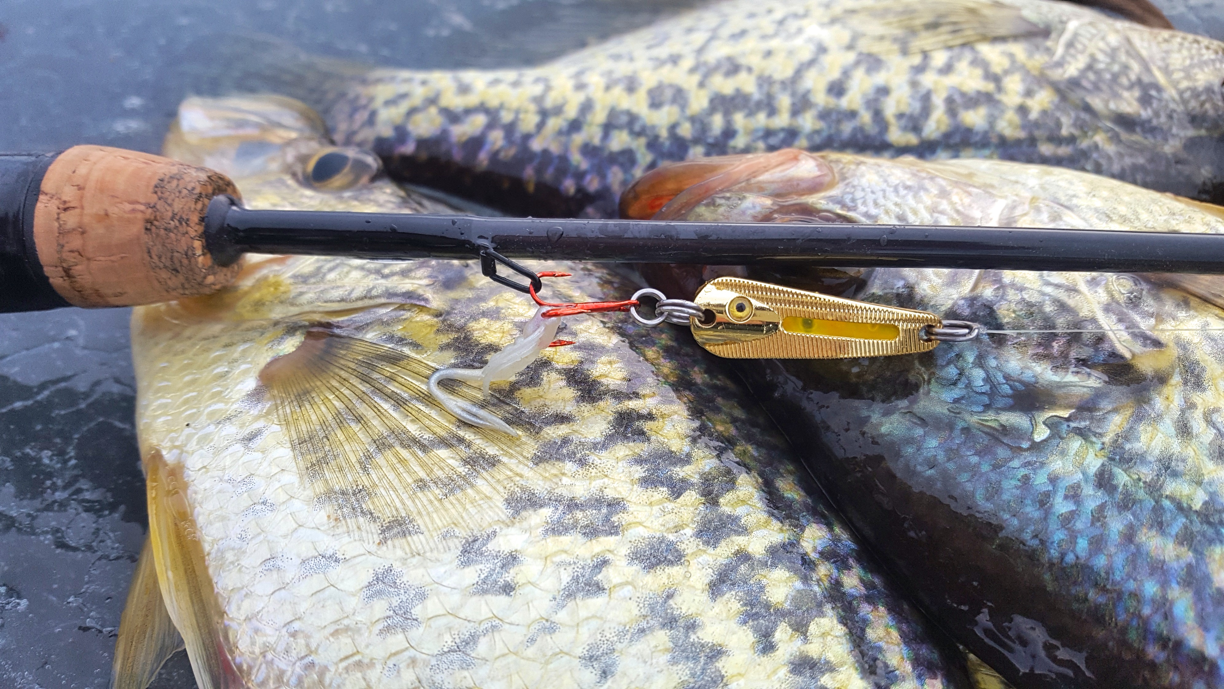 Crappies caught on the Glo-Shot Spoon