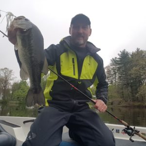 largemouth bass