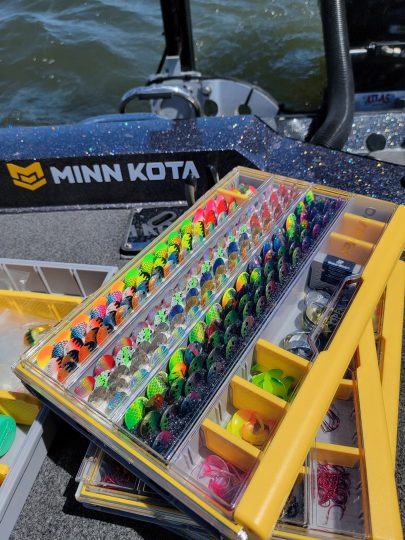 Spinner blades stored in a tackle box.