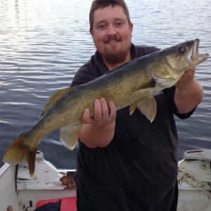 fall walleye