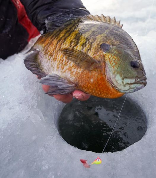 Midwinter Crappies
