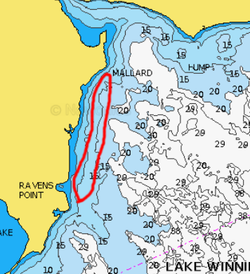 Shoreline break line marked on Lake Winnibigoshish lake map for fishing.