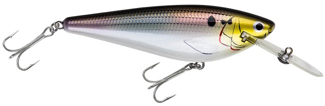 Rumble Monster crankbait in Realistic Shad color