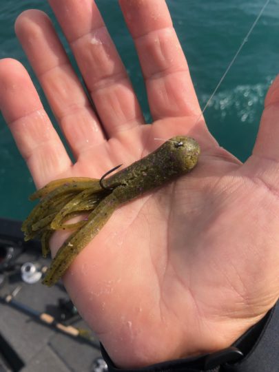 Fatty Tubes for Smallmouths