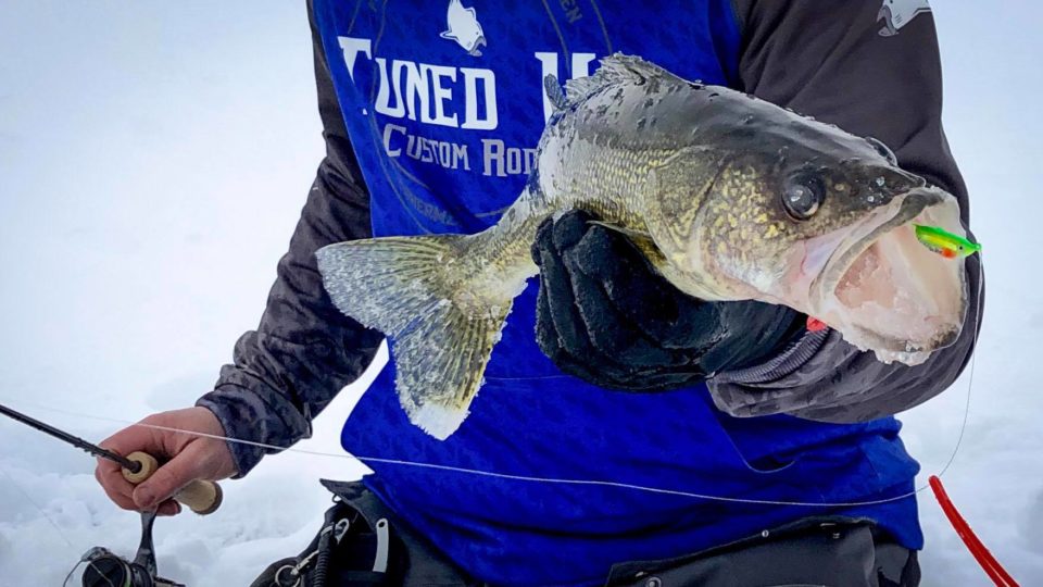 Mille Lacs Lake Walleye  Northland Fishing Tackle