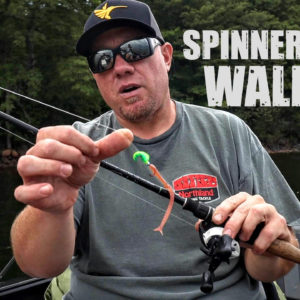 Spinner Rigging Walleye Tips