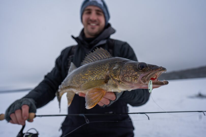 Glow Spoon Winter Walleyes