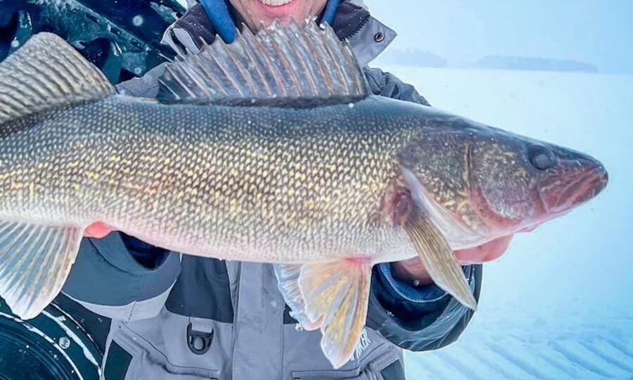Ice Fishing Walleye Tips