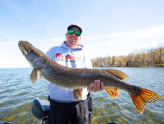 Fisherman holding up a musky he caught on the Rumble Monster crankbait