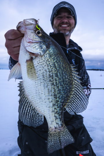 Lake of the Woods Crappie being held by an ice fisherman.