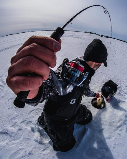 Ice fisherman pulling a panfish out of a hole through the ice.