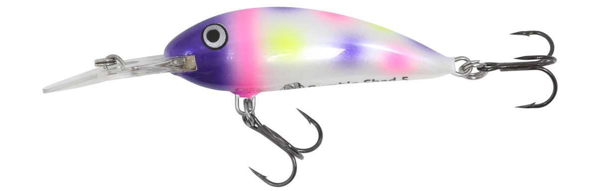 Rumble Shad (Purple Wonder)