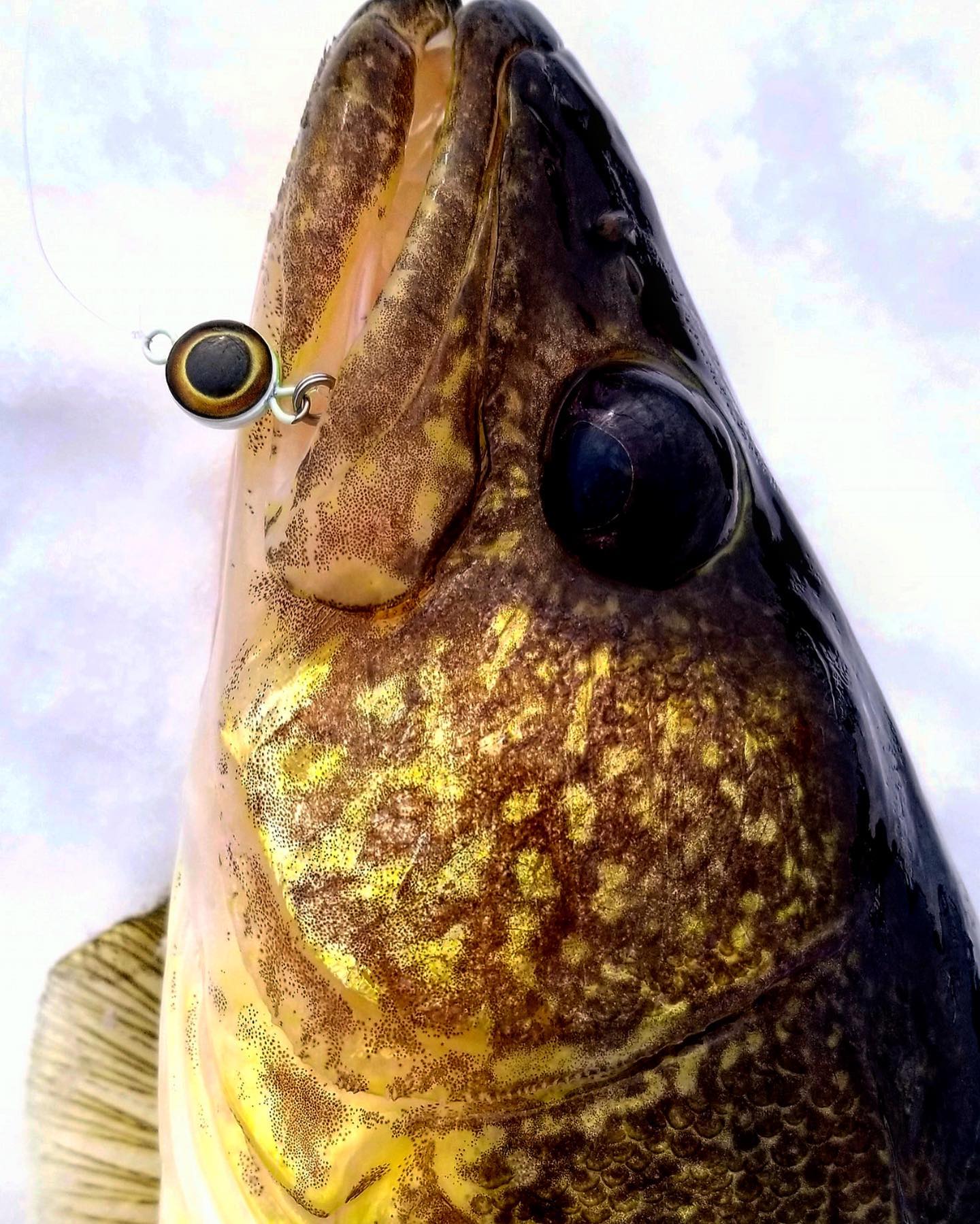 Ice Fishing may be Tough; But the Devils Lake Fish are Still Biting
