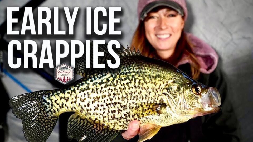 Early Ice Crappies