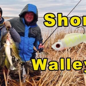 Shore Fishing Walleyes With Jason Mitchell