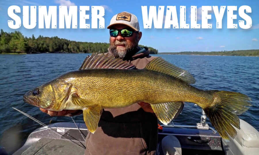 Jigging Big Summer Walleyes