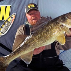 Ice Fishing Big Walleye (Brian Brosdahl)