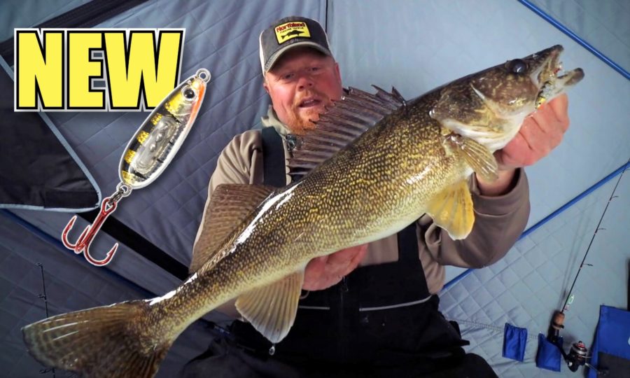 Ice Fishing Big Walleye (Brian Brosdahl)