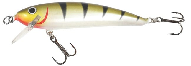 Rumble Shiner in Olive Tiger color