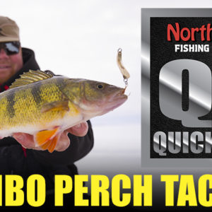 Jumbo Perch Tackle