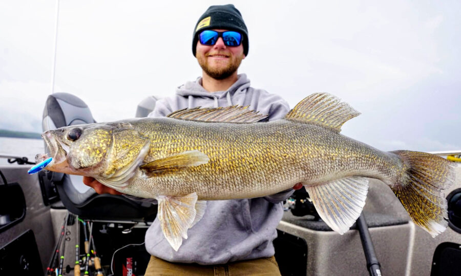 Best Tactics For Fall Walleyes