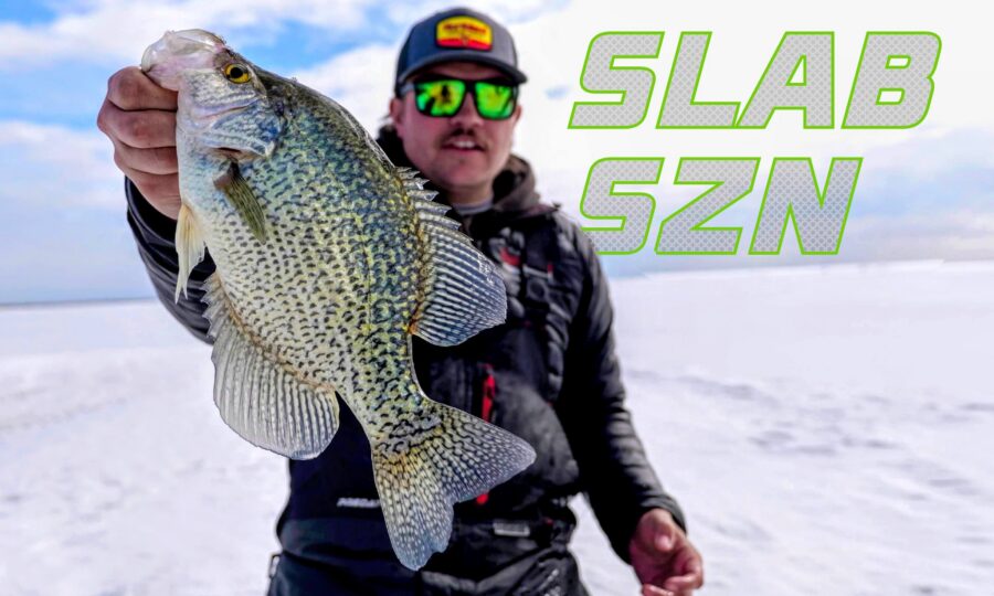 Big Aggressive Crappies
