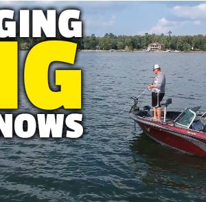How to Rig Big Minnows - Will Pappenfus