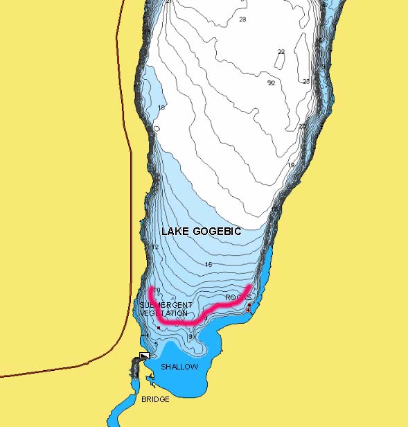 Southern corner of Lake Gogebic, MI submerged vegetation marked on a lake map.