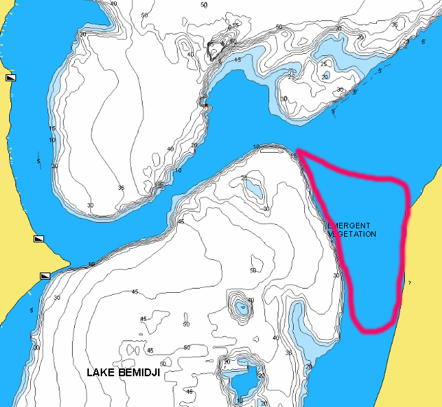 Emergent vegetation marked on Lake Bemidji.