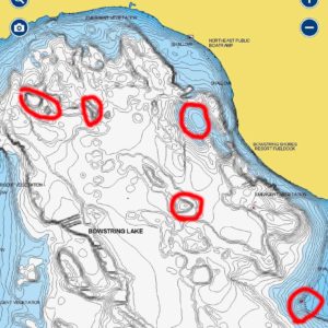 Tungsten Jigs & Forward Facing Sonar