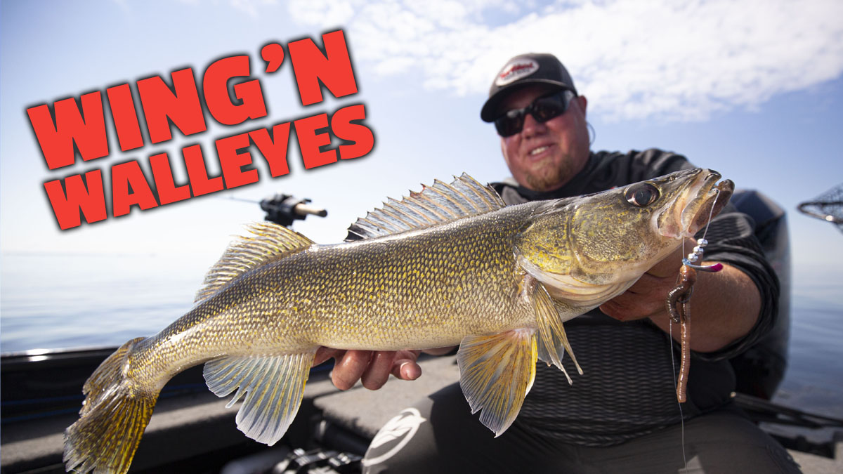 Wingnut Rigs with Brad Hawthorne Northland Fishing Tackle