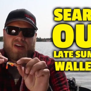 Search out Late Summer Walleyes